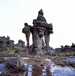 Summit of Mount Kukenaam (Kukenan, Kukenan, Cuguenan), rockshape, Estado Bolivar, Venezuela, South America