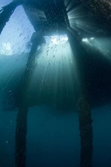 Images Dated 15th November 2010: Sunrays under the Air Manis Jetty - Ambon - Indonesia