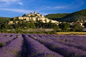 Sunrise over lavender field and the village