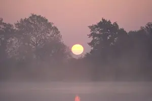 Sunrise Through trees on edge of broad Hickling Broad Norfolk UK