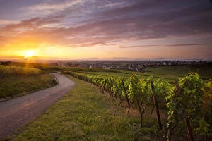Sunrise over vineyards surrounding Zellenberg