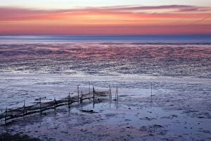 Tides Gallery: Sunrise on the Wadden Sea at low tide