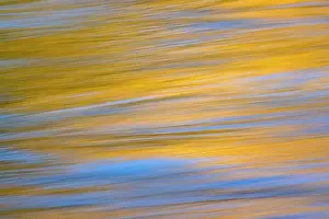 Sunset colors and trees reflecting on Snake River, Grand Teton National Park, Wyoming Date: 29-09-2021