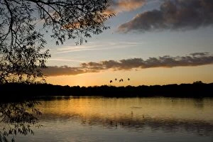 Images Dated 16th October 2011: Sunset - Groby Pool, Leicestershire UK