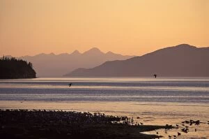 Sunset from Heaney Ridge Area - Cordova - Alaska - USA