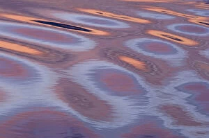 Images Dated 20th August 2012: Sunset reflections, the movement of