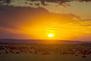 Sunset over Serengeti National Park - looking into Serengeti from Kenyan border