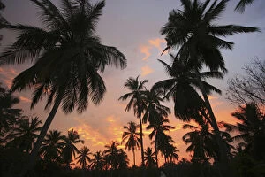 Sunset, Sri Lanka