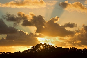 Images Dated 9th December 2008: Sunset - the sun is setting over Tasmania's coast in Strahan