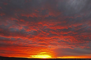 Images Dated 3rd April 2009: Sunset. Valdes peninsula - Argentina