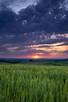 Sunset over wheat field near Pienza, Tuscany