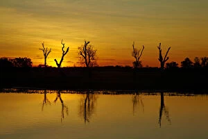 Sunset, Yellow Water Billabong, Kakadu National