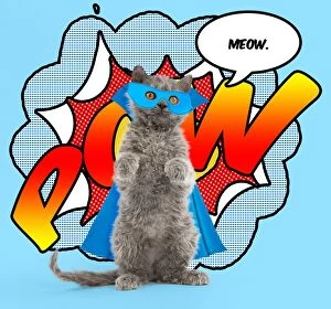 Superhero kitten cat with cape and mask cartoon POW explosion