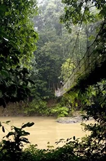 Images Dated 31st August 2007: Suspension bridge over river Danum in a rainy day; primary rainforest of river Danum Conservation