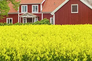 Western Prints: Sweden, Lake Vattern Area, Renstad, farm, springtime Date: 17-05-2019