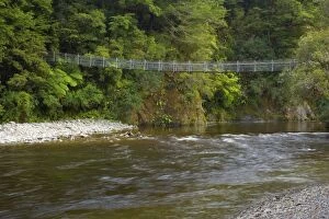 Swing Bridge - leading over picturesque Hutt river with dense temperate rainforest alongside its banks