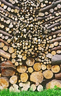 Patterns Collection: Symmetrically stacked pile of Logs for use as firewood