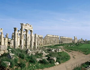 Arab Gallery: SYRIA. APAMEA (Afamia). Colonnade in Cardo
