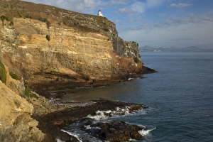 Taiaroa Head - cliffs of Taiaroa Head with Taiaroa Head Lighthouse Taiaroa Head - cliffs of Taiaroa Head with Taiaroa Head Lighthouse