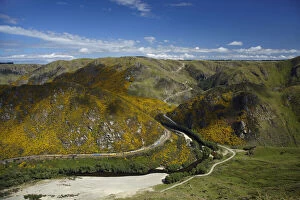 Images Dated 3rd July 2014: Taieri Gorge Train and Taieri River at Hindon
