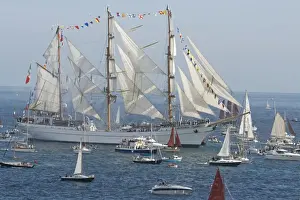 Yachts Prints: Tall ships 500 Regatta 2008 Falmouth Cornwall UK