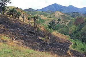 Burnt Gallery: Tanzania, Western Tanzania. Farmland burned