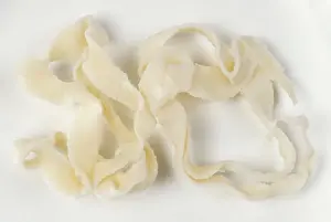Annelid Prints: Tapeworm - from cat