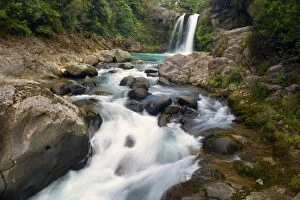 Tawhai Falls - waters drop down Tawhai Falls into a basin and flow further down a narrow gorge