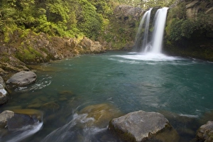 Images Dated 8th March 2008: Tawhai Falls - waters drop down Tawhai Falls into a wide turqoise coloured basin