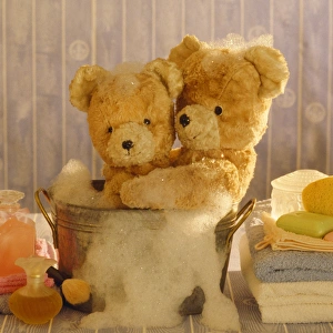 Teddy Bear - x2 teddies at bathtime