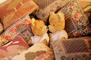 Images Dated 2nd January 2008: Teddy Bear - x2 teddies in bed
