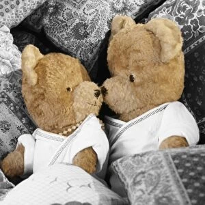 Images Dated 3rd October 2012: Teddy Bear - x2 teddies in bed Digital Manipulation: cropped - altered colours & removed small bow