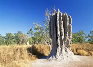 Images Dated 4th December 2006: Termite Mound Australia