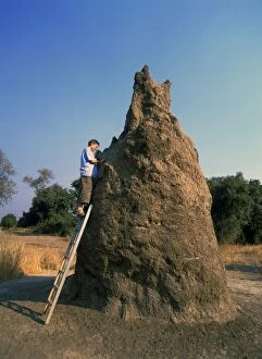 Termite Mound - with boy investigating, up ladder
