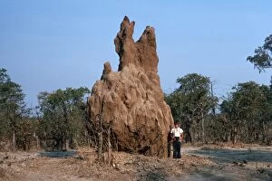 Zambia Gallery: Termite Mound - small boy by large termite hill