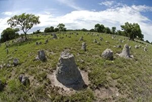 Images Dated 5th December 2007: Termite mounds