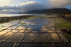 Images Dated 16th December 2008: Tessellated Pavement - sunrise