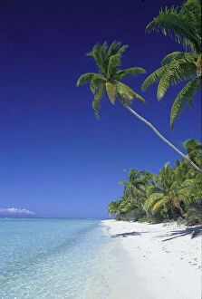 Tetiaroa French Polynesia