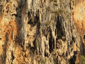 Images Dated 1st February 2010: Thailand - Detail of a limestone cliff