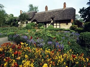 Avon Gallery: Thatched Cottage