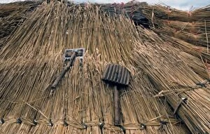 Thatch Collection: Thatcher's tools- with straw thatching