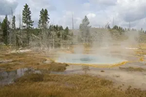 Steaming Prints: Thermal pool activity - Old Faithful area - Yellowstone NP - USA