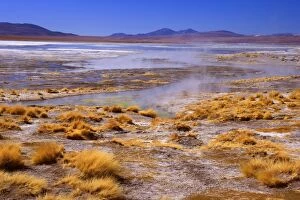 Images Dated 25th May 2010: Thermas de Chalviri - Altiplano landscape with geothermal field of hot springs located at an