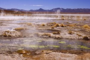 Images Dated 25th May 2010: Thermas de Chalviri - Altiplano landscape with geothermal field of hot springs located at an
