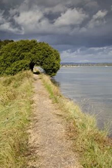 Images Dated 15th October 2012: Thorney Island