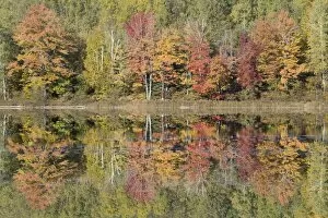 Thornton Lake with Autumn Colours of Maples Reflected