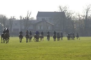Images Dated 5th May 2007: Thoroughbred racehorses being trained by riders
