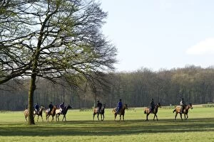 Thoroughbred racehorses being trained by riders
