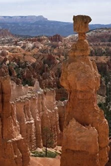 Images Dated 20th April 2007: Thor's Hammer, Bryce Canyon