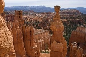Images Dated 20th April 2007: Thor's Hammer, Bryce Canyon, Utah, USA